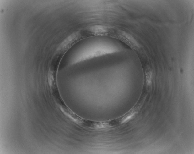 X0000080760618200612151411
