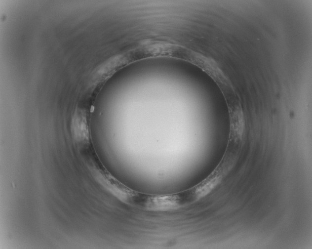 X0000080760622200612151411
