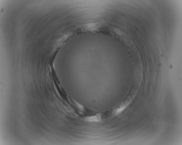 X0000080760624200612151411