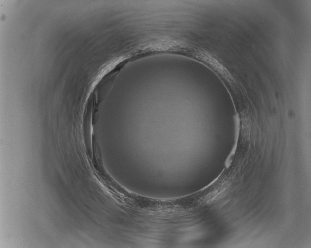 X0000080760626200612151410