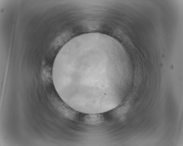 X0000080760672200612151411
