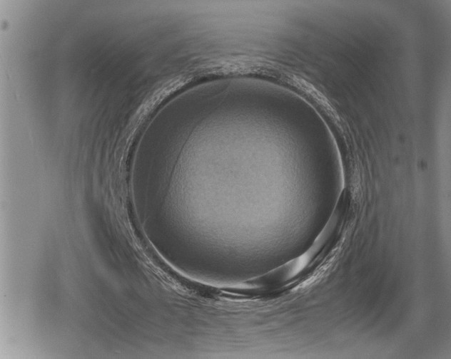 X0000080760673200612151410