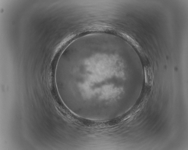 X0000080760675200612151410