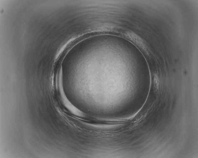 X0000080760676200612151410