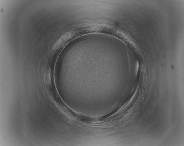 X0000080760685200612151410