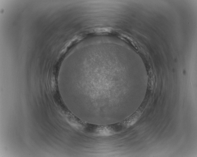 X0000080760704200612151410