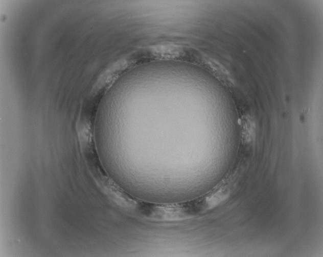 X0000080760713200612151410