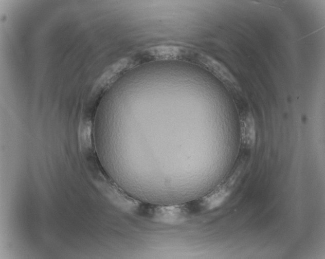 X0000080760717200612151409