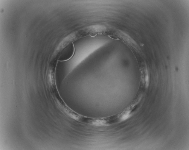 X0000080760718200612151409