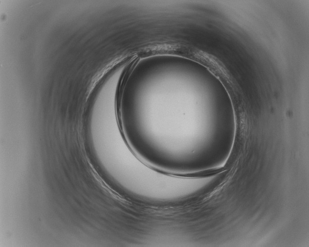 X0000080760725200612151409