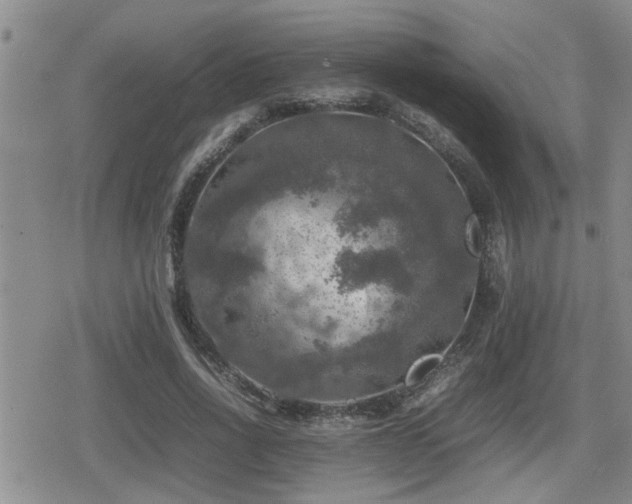 X0000080760734200612151409