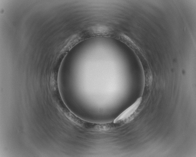X0000080760764200612151409