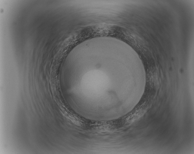 X0000080760769200612151409