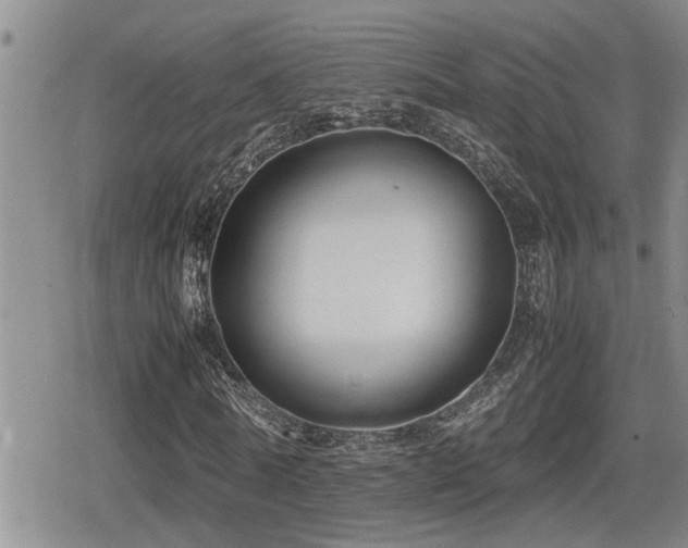 X0000080760770200612151409