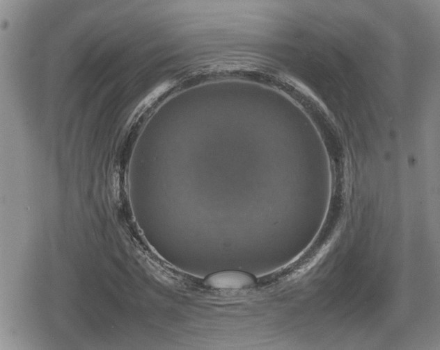 X0000080760777200612151409