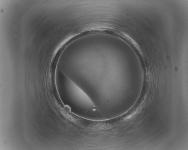 X0000080760779200612151408