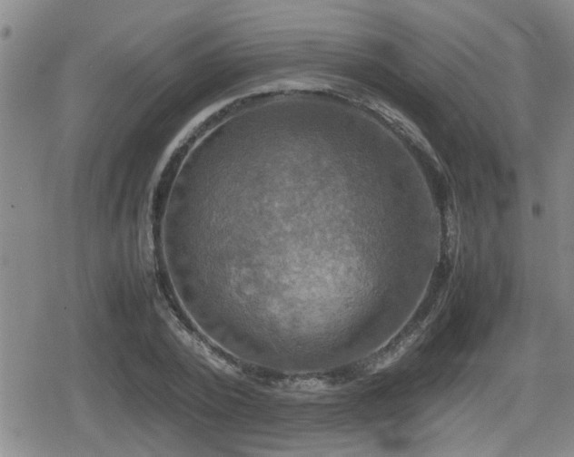X0000080760784200612151408
