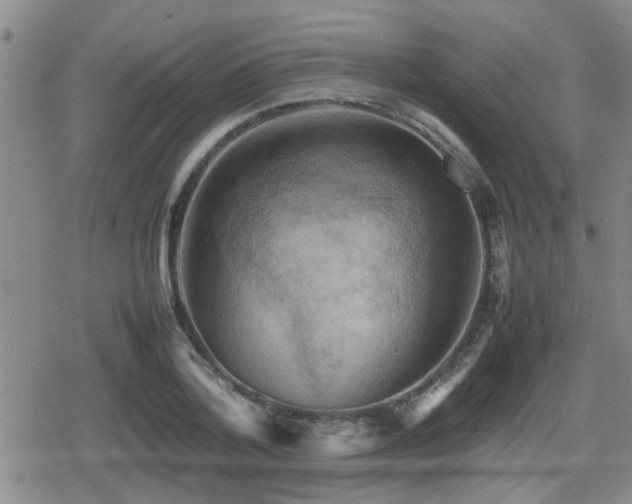 X0000080760788200612151408
