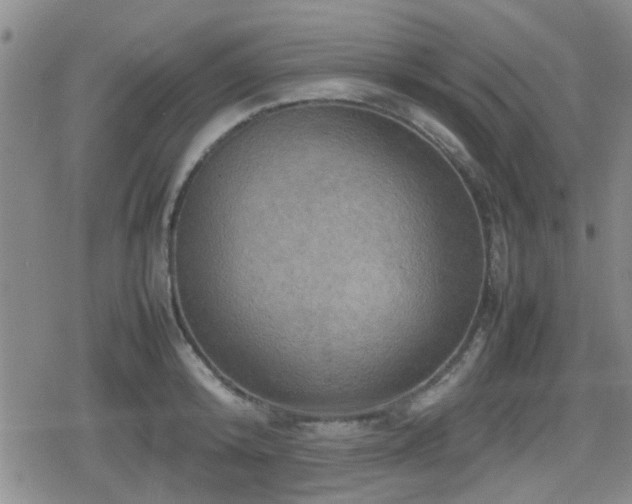 X0000080760800200612151408