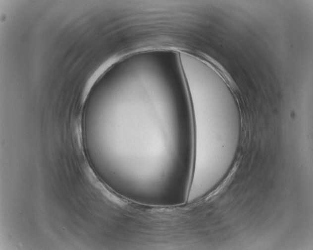 X0000080760812200612151408