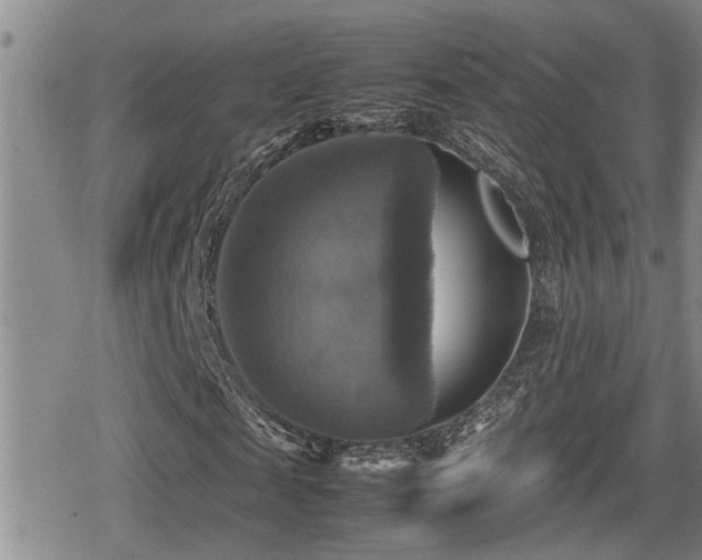 X0000080760817200612151407