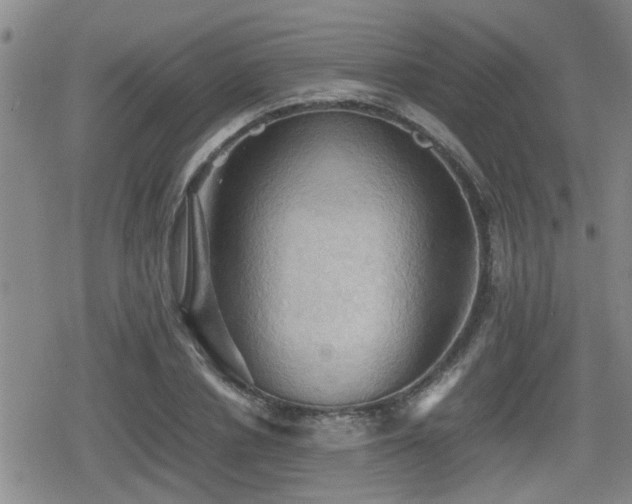 X0000080760834200612151407