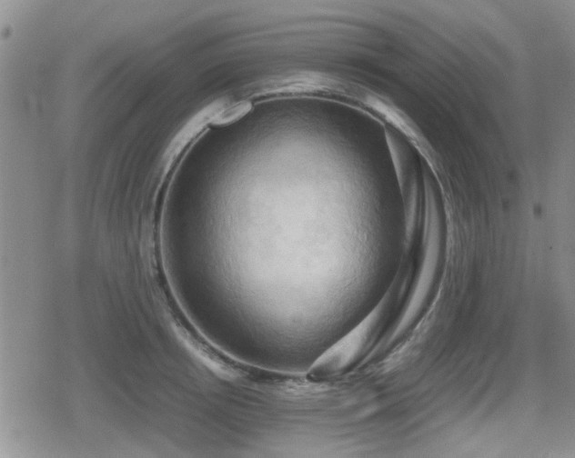 X0000080760850200612151408
