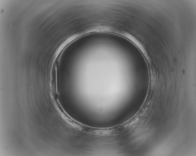 X0000080760861200612151408