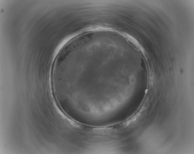 X0000080760863200612151408
