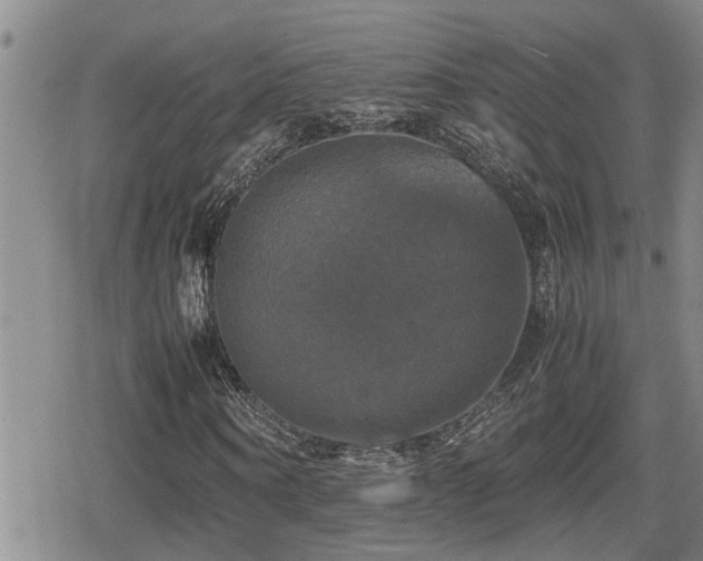 X0000080760866200612151407