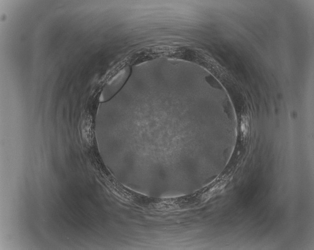 X0000080760867200612151407