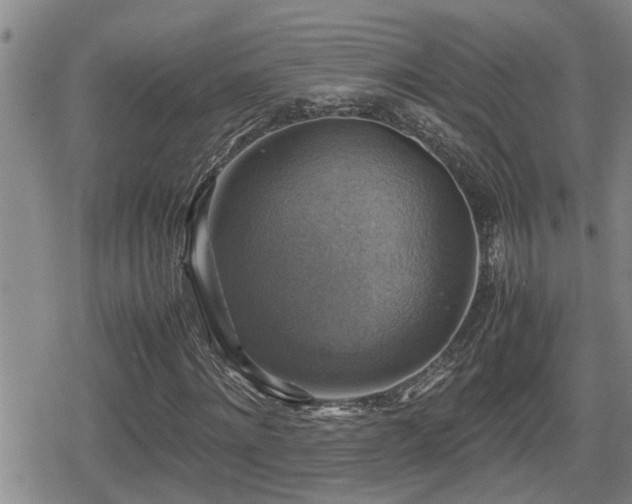 X0000080760868200612151407