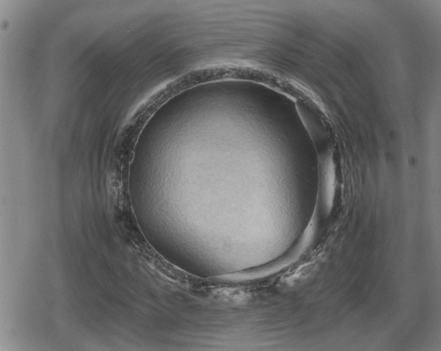 X0000080760872200612151407