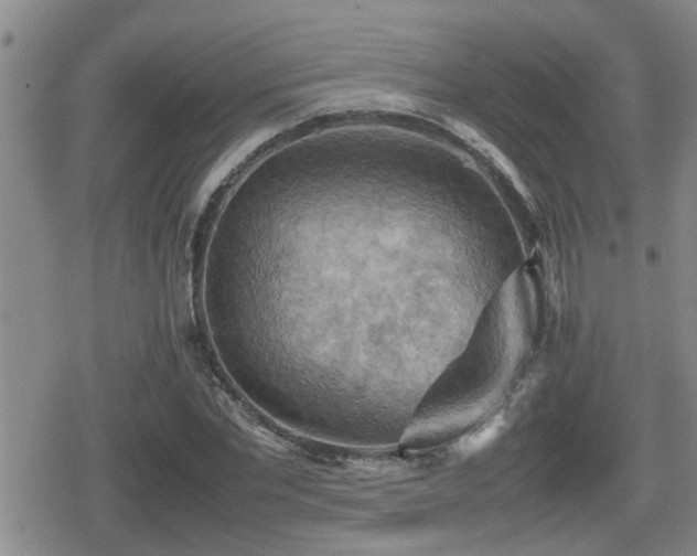 X0000080760877200612151407