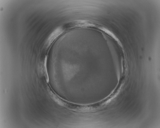 X0000080760889200612151407