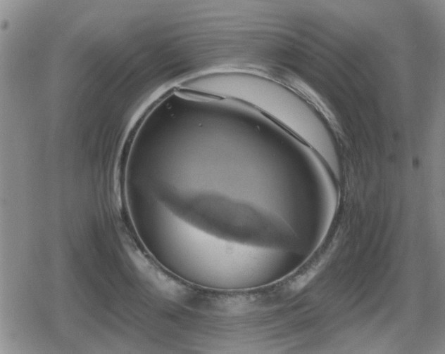X0000080760892200612151407