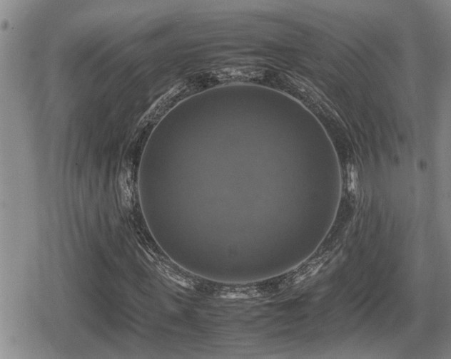 X0000080760915200612151406