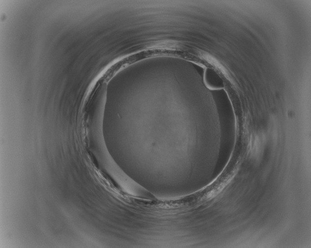 X0000080760923200612151406