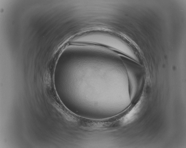 X0000080760969200612151405