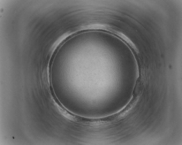 X0000080760988200612151405