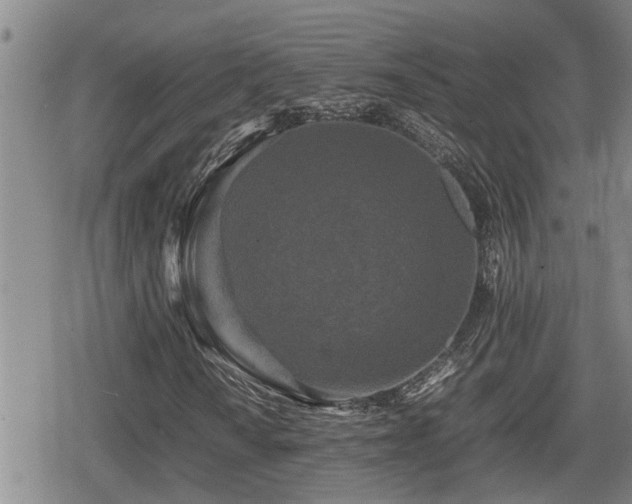 X0000080761010200612151404