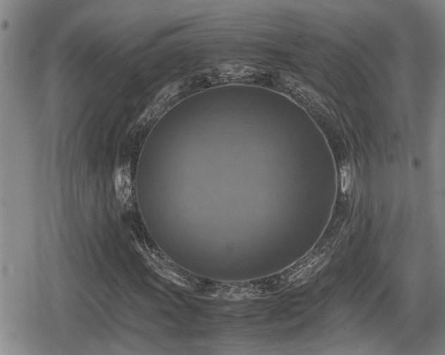 X0000080761011200612151404