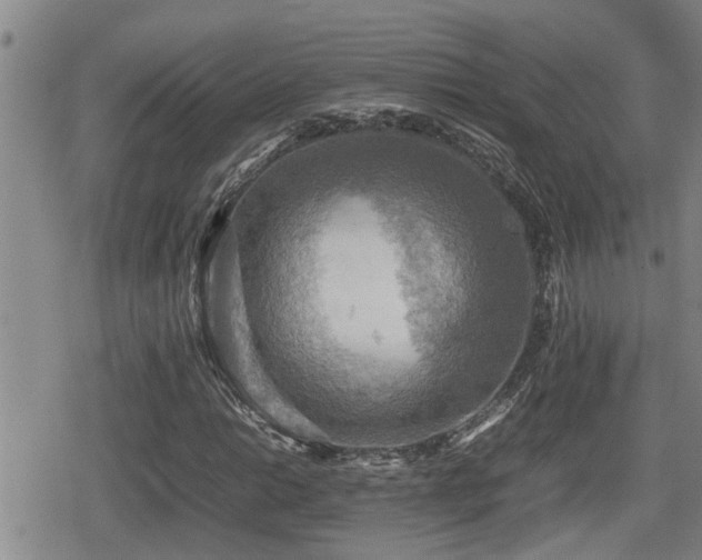 X0000080761014200612151404