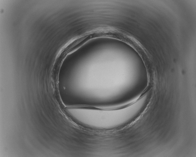 X0000080761018200612151404