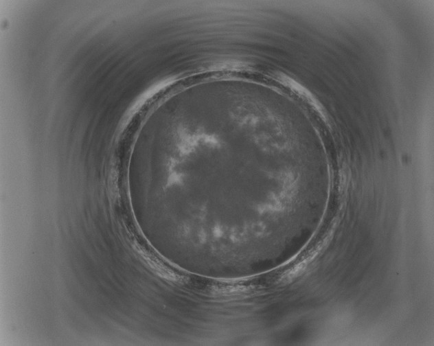 X0000080761019200612151404