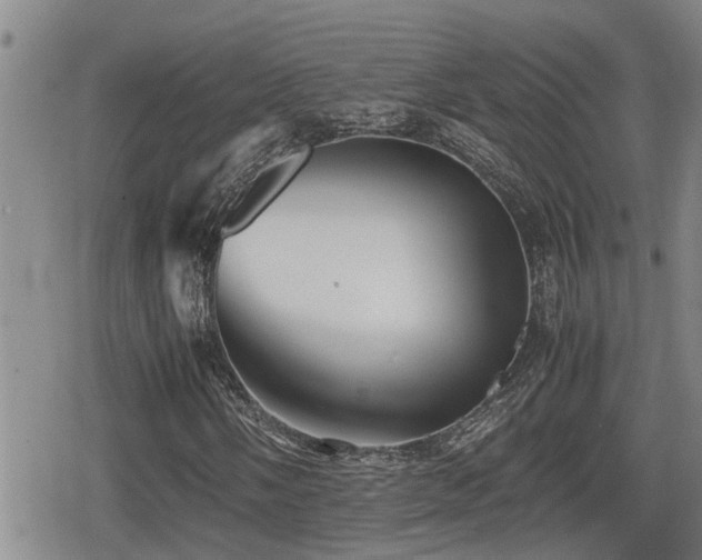 X0000080761058200612151404