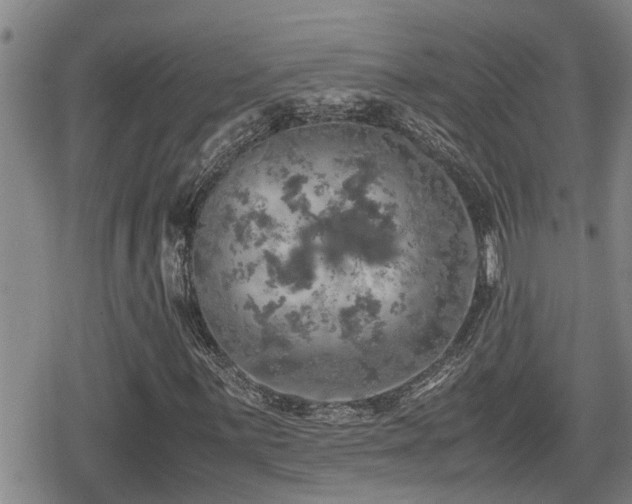 X0000080761059200612151404