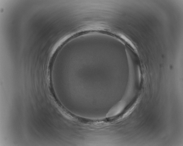 X0000080761077200612151404