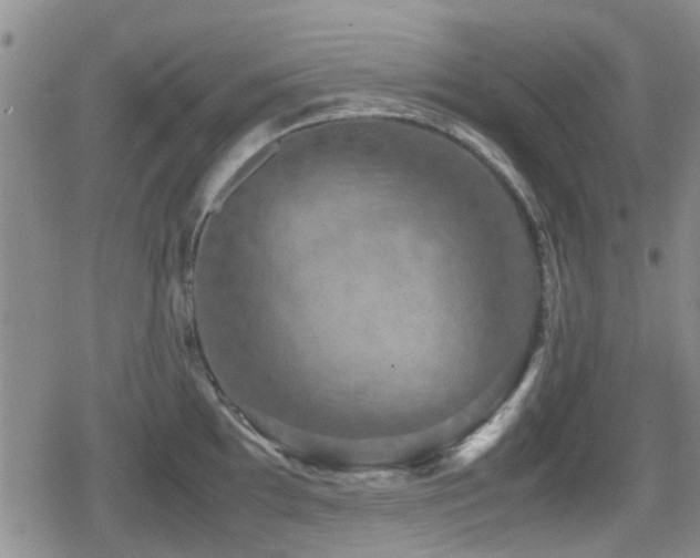 X0000080761097200612151403