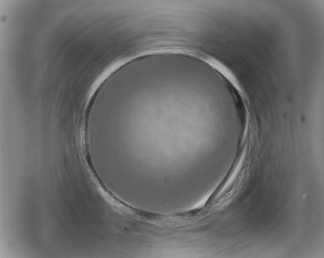 X0000080761101200612151403